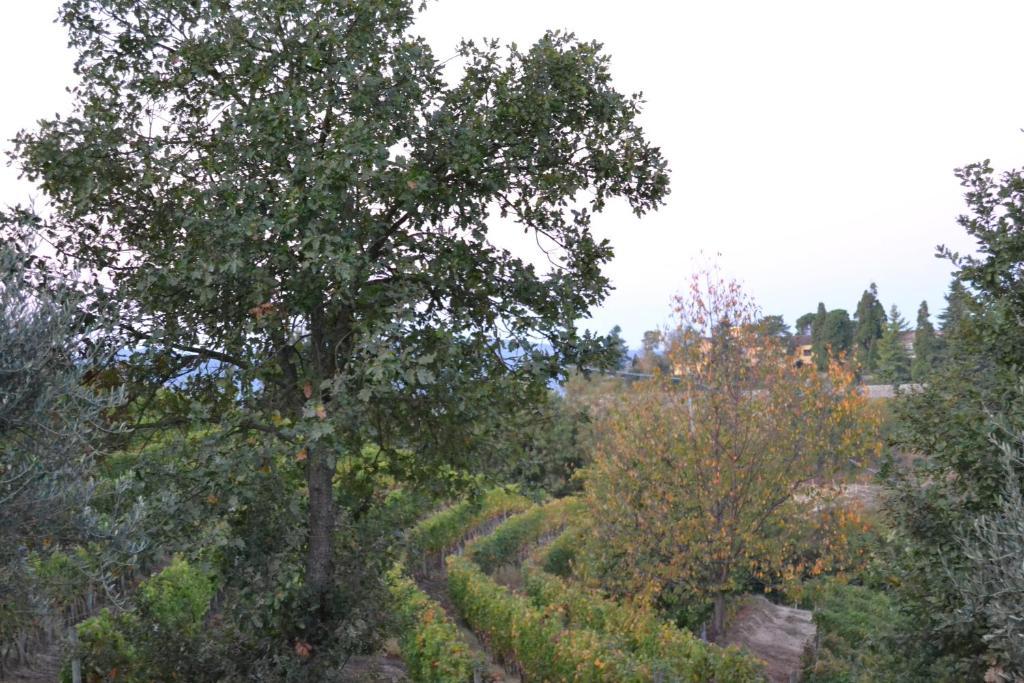 אקווי טרמה Agriturismo Costa Dei Platani מראה חיצוני תמונה