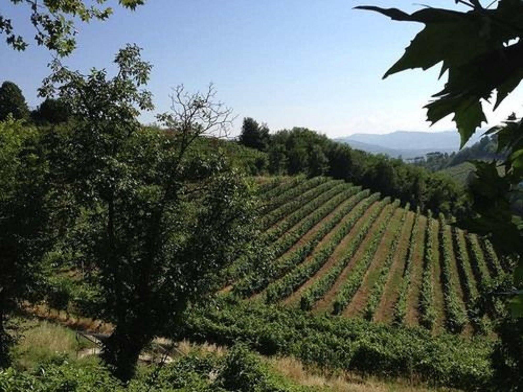 אקווי טרמה Agriturismo Costa Dei Platani מראה חיצוני תמונה