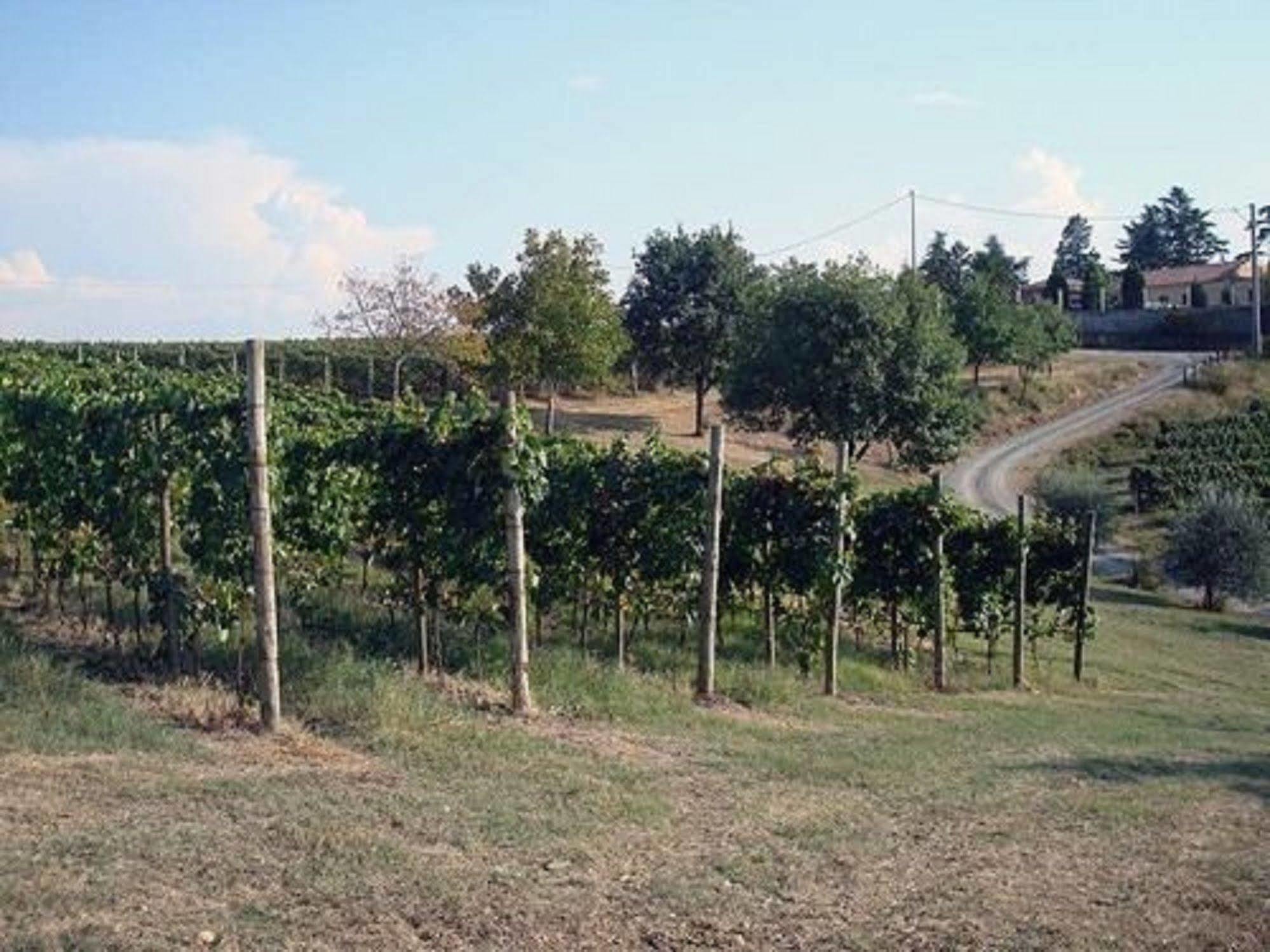 אקווי טרמה Agriturismo Costa Dei Platani מראה חיצוני תמונה
