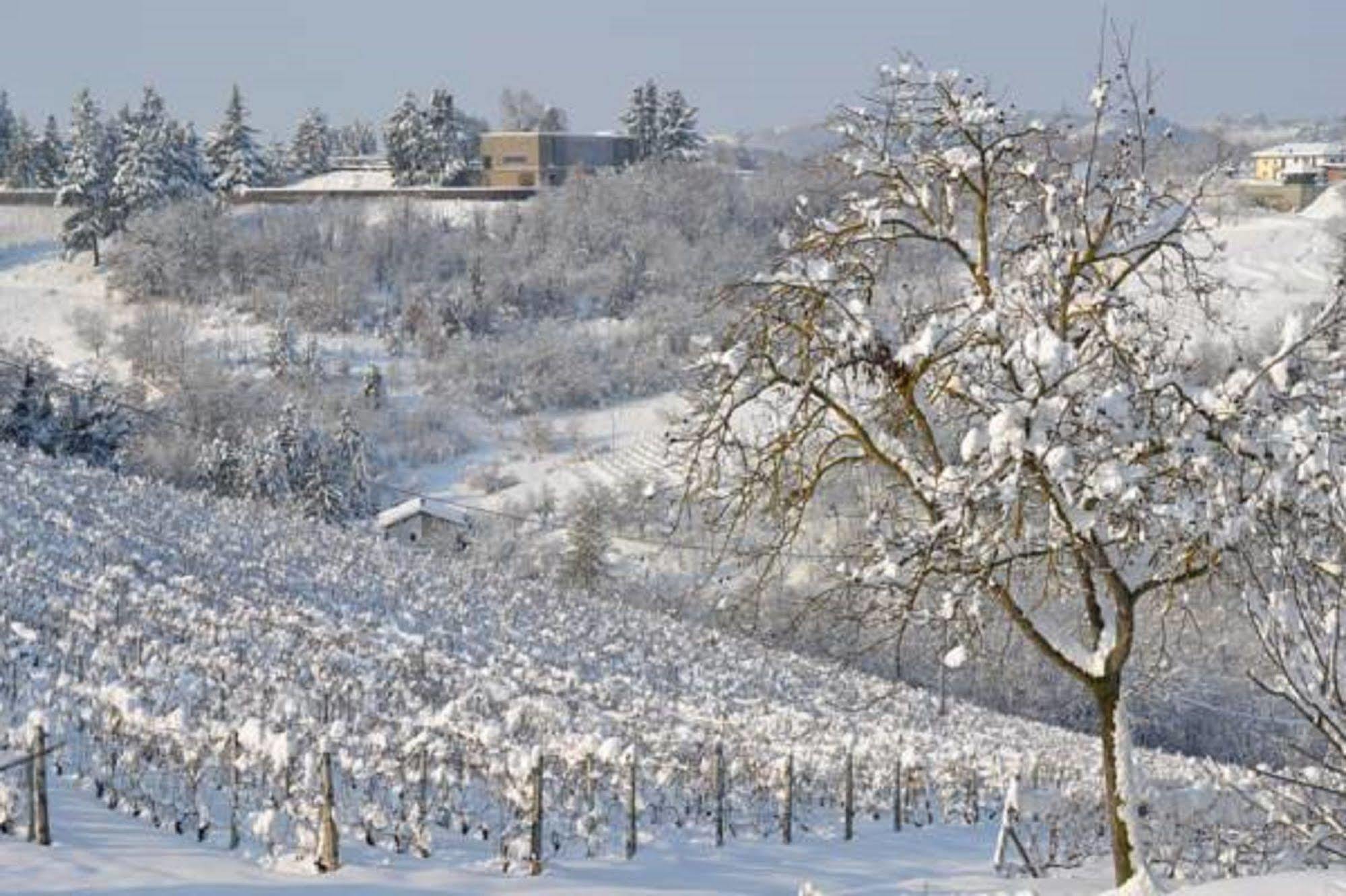 אקווי טרמה Agriturismo Costa Dei Platani מראה חיצוני תמונה