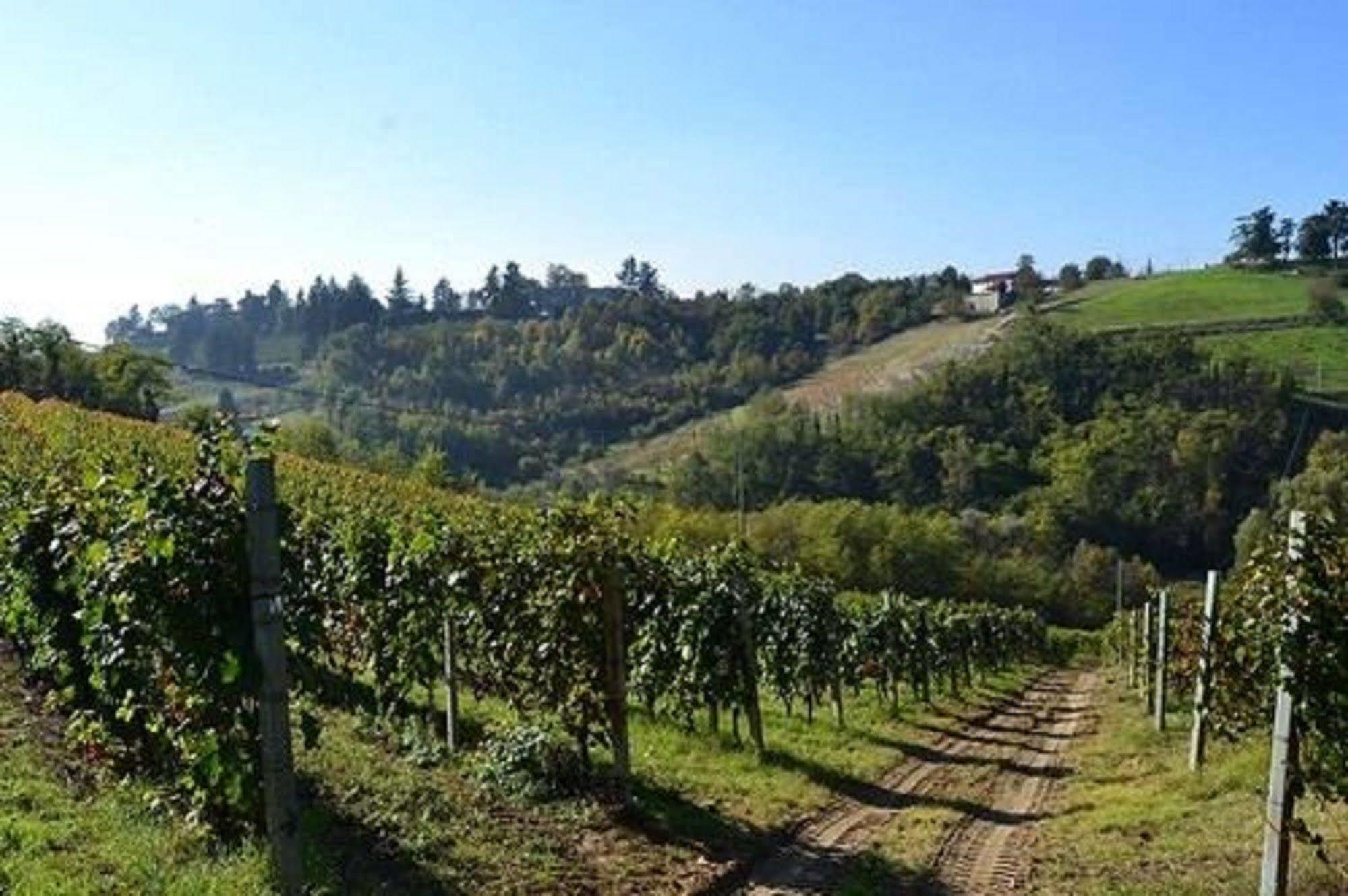 אקווי טרמה Agriturismo Costa Dei Platani מראה חיצוני תמונה