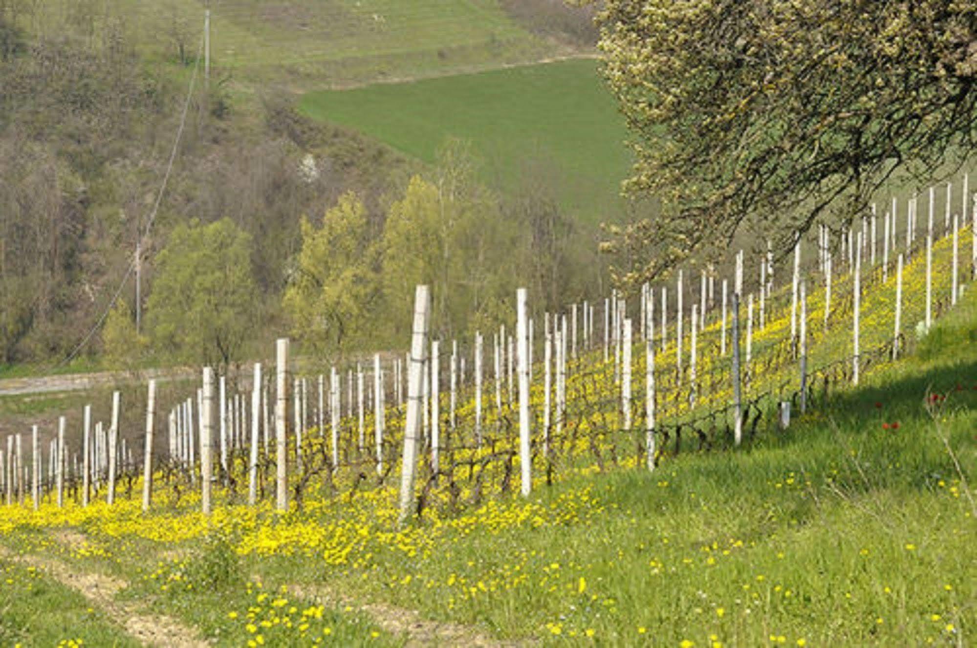אקווי טרמה Agriturismo Costa Dei Platani מראה חיצוני תמונה